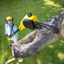 Best Lawn Irrigation Installation and Maintenance  in Hico, TX
